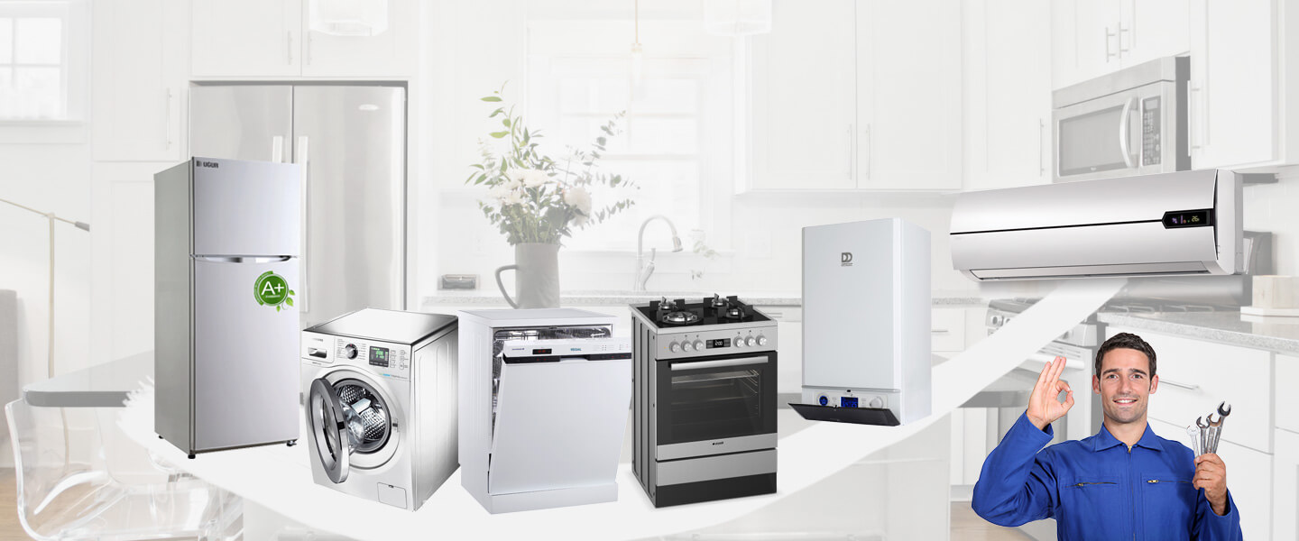 Acıgöl Electrolux Servisi
